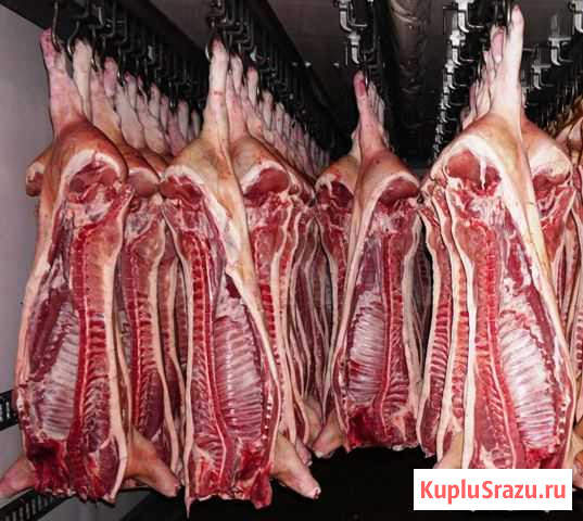 Мясо свинина Тарко-Сале - изображение 1