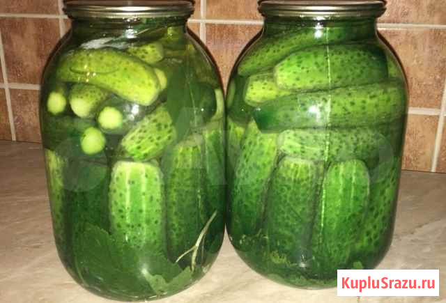 Огурцы маринованные Медведево - изображение 1