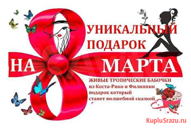 Живые тропические бабочки из Коста-Рико и Филиппин Иркутск - изображение 1