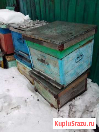 Улей для пчел Верхнеуральск - изображение 1
