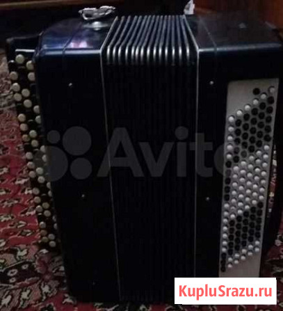 Баян Кубань Казань - изображение 1