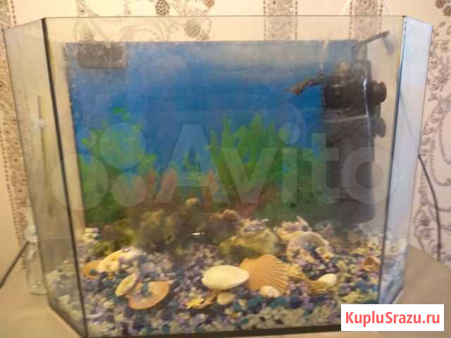 Продам аквариум Ижевск - изображение 1