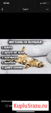 Абонемент Челябинск - изображение 1