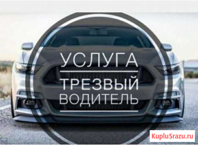 Трезвый водитель (личный водитель) Тула - изображение 1