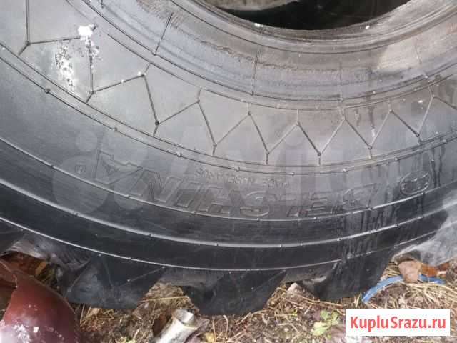 Колёса Сургут - изображение 1