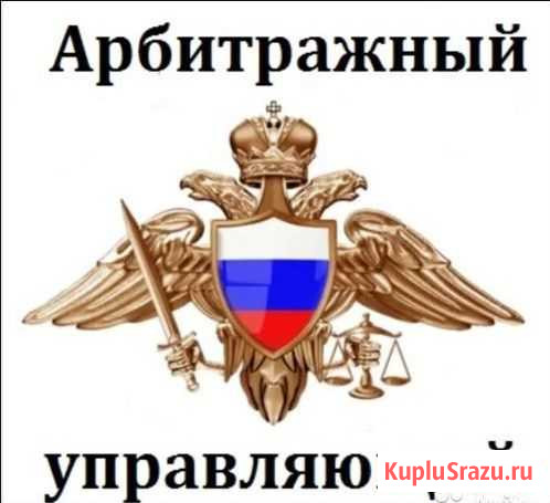 Арбитражный (финансовый) Управляющий Банкротство Чита - изображение 1