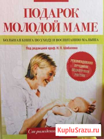 Книга Новоалтайск - изображение 1