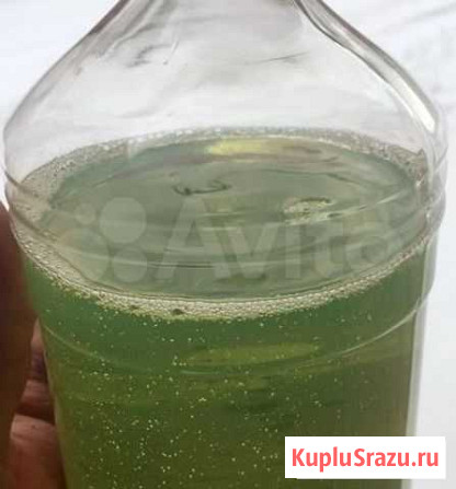 Дизельное топливо гост евро сорт 5 Карабаново - изображение 1