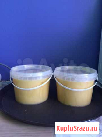 Мед алтайский Сертолово - изображение 1