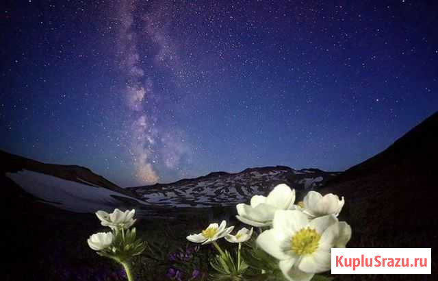 Джип-Туры по Камчатке/Трансфер Петропавловск-Камчатский - изображение 1