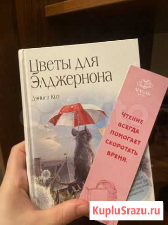 Книга Махачкала - изображение 1
