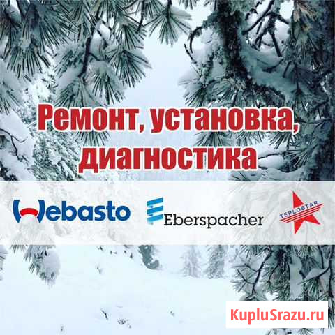 Ремонт установка Webasto Eberspacher Теплостар Тюмень - изображение 1