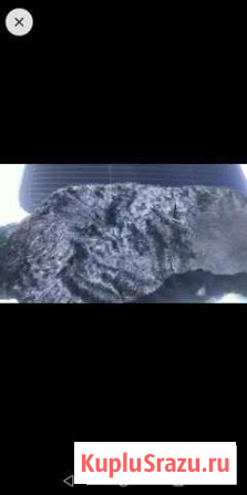 Автопылесос и 2авточехла натуральных мех Волгоград - изображение 1