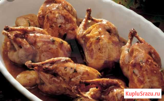 Перепелиное мясо 1кг Йошкар-Ола - изображение 1