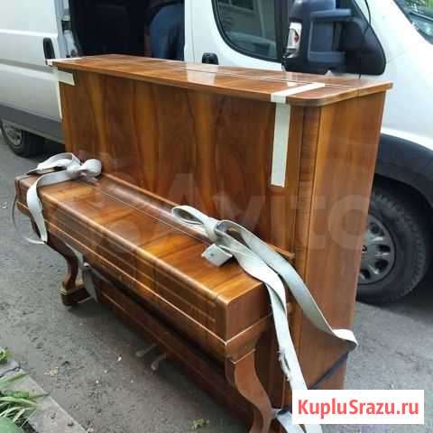 Пианино и Рояль Красноармейск - изображение 1