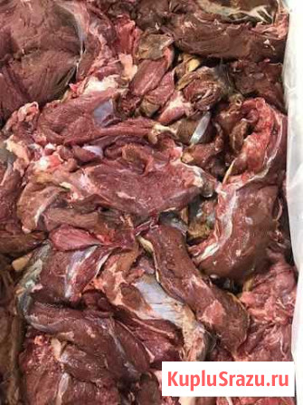 Мясо Оленина Магадан - изображение 1