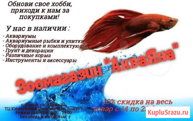 Акваяна Янаул - изображение 1