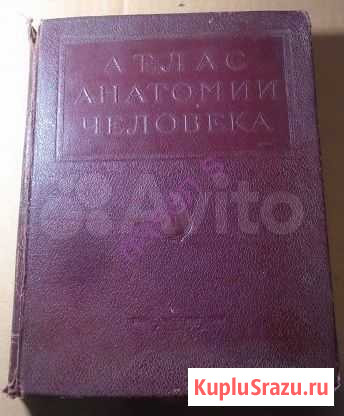 Атлас анатомии человека Р. Д. Синельников Рубцовск - изображение 1