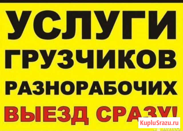 Грузчики Переезды Разнорабочие Тамбов - изображение 1