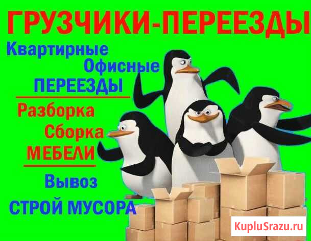 Грузчики, Переезды,разнорабочие, 24/7 Барнаул - изображение 1