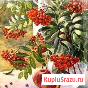 Образование Ижевск - изображение 1