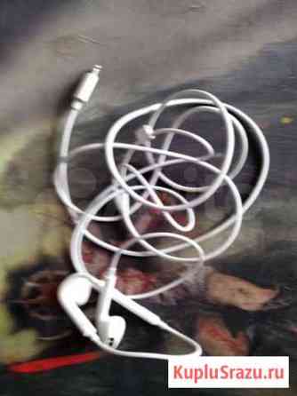 Наушники earpods Бийск