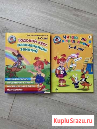 Ломоносовская школа годовой курс Рязань - изображение 1