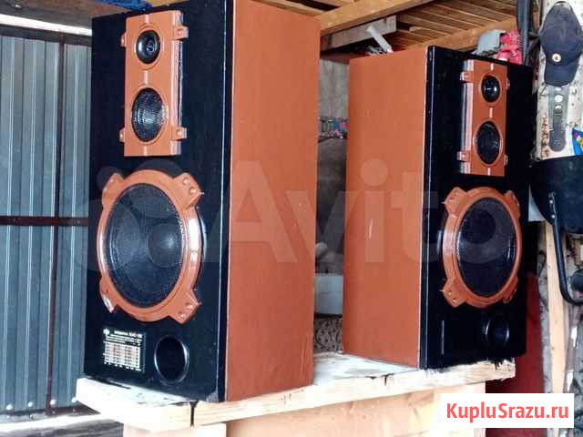 Акустические колонки СССР Огаревка - изображение 1