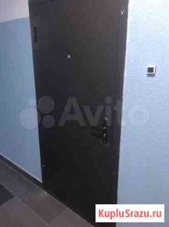 Дверь от застройщика Мурино