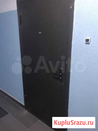 Дверь от застройщика Мурино - изображение 1