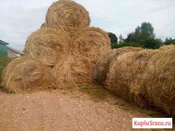 Сено в рулонах и кипах Сланцы