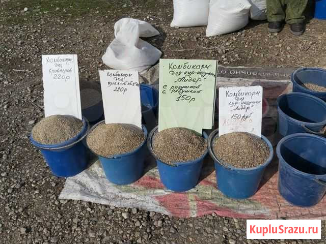 Комбикорм зерно Богородицк - изображение 1