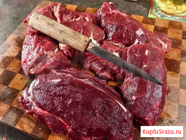 Мясо дикого кабана Тарко-Сале - изображение 1
