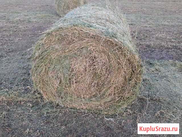Сено Красноармейское - изображение 1