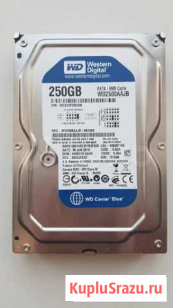 Жесткий диск IDE WD 250 GB wd2500aajb 7200rpm Омск - изображение 1