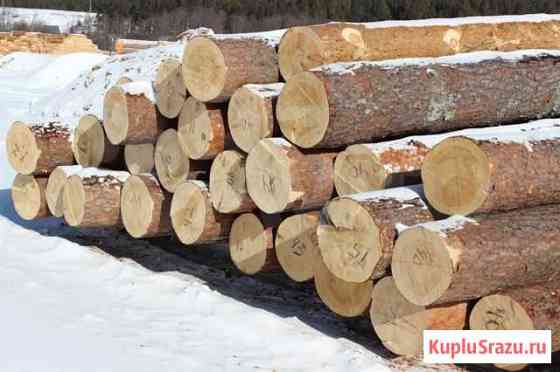 Закупаем пиловочник Городищи