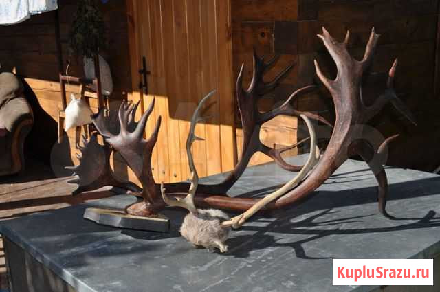 Продам кабель и электрооборудование.Рога Гвозди Майна - изображение 1