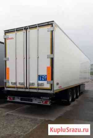 Рефрижератор Kogel Thermo King 300 Волгоград