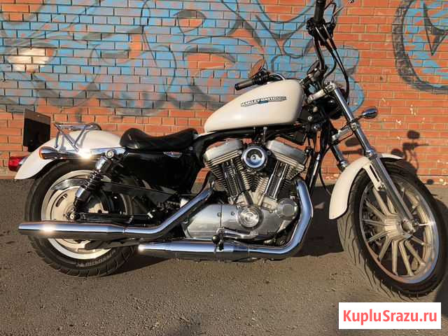 Harley-Davidson Sportster 883 Low Новосибирск - изображение 1