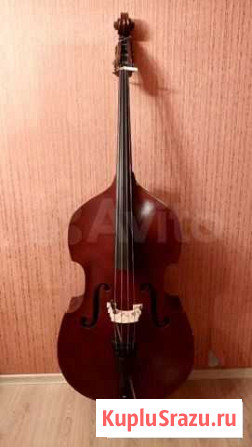 Контрабас Чехия Москва - изображение 1