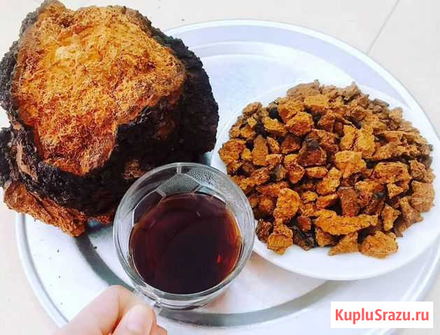 Чага сушеная Каргополь - изображение 1