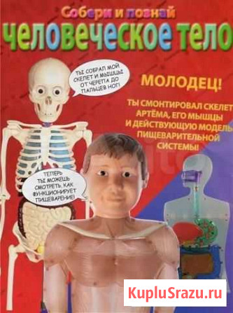 Журнал скелет тело Артема Сочи - изображение 1