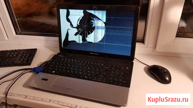 Packard Bell ente11HC-32344G32mnks на разбор Балашиха - изображение 1