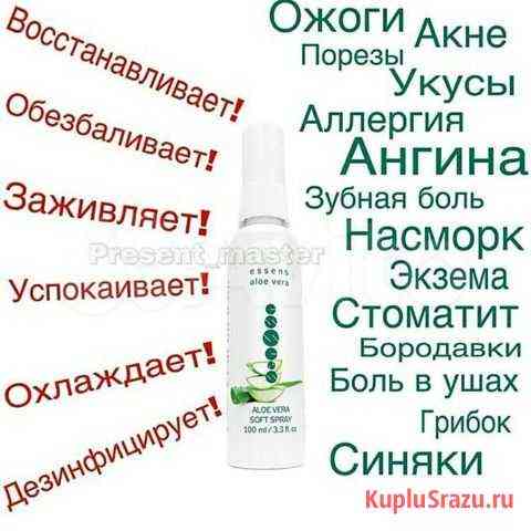 Soft споей Брянск