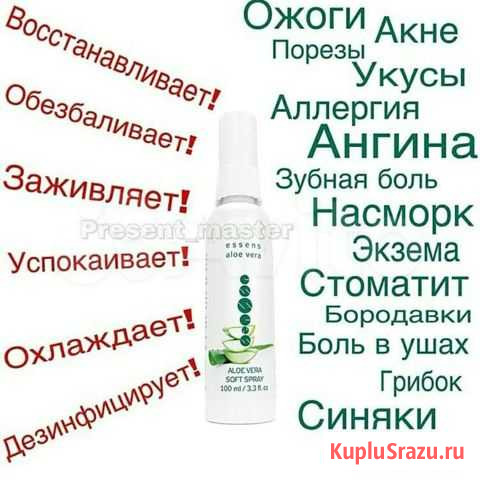 Soft споей Брянск - изображение 1