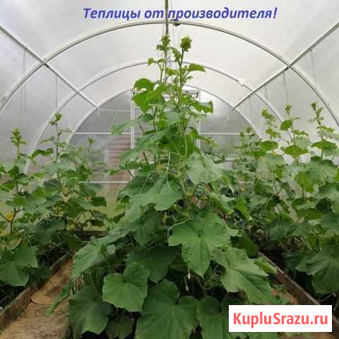 Теплица Армавир - изображение 1