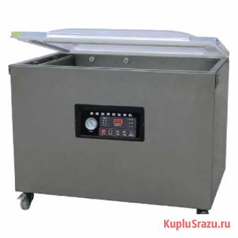 Упаковщик вакуумный DZ-1000/2L 220В Ставрополь - изображение 1
