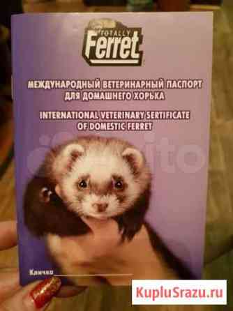 Продам ветеринарные паспорта для хорьков Новокузнецк