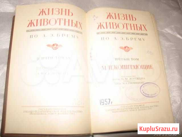Жизнь животных Брем том 5 1941 г Суздаль - изображение 1