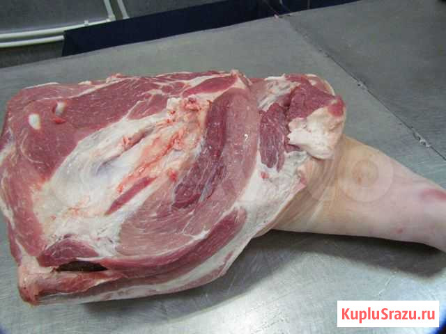 Мясо свинина продам Бийск - изображение 1